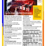 THESUN Specification for exporting